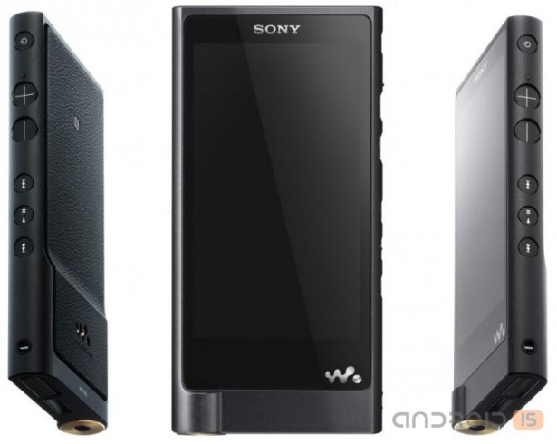 Sony    Walkman ZX2