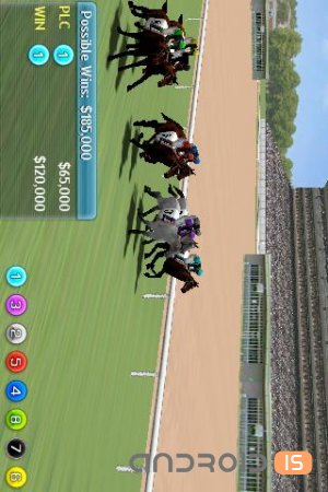 Virtual Horse Racing