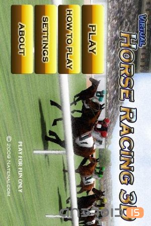 Virtual Horse Racing