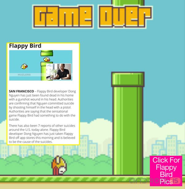     Flappy Bird