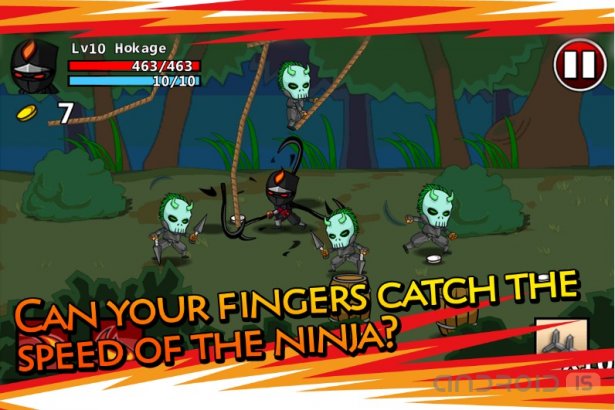 Ninjas Stolen Scrolls 