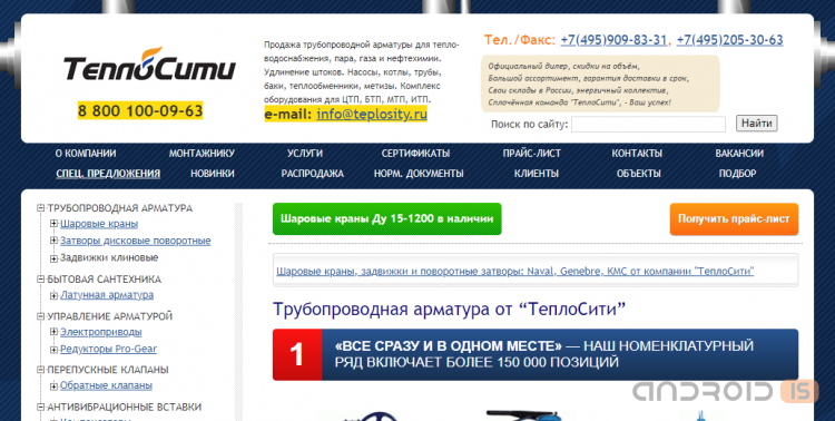 Обзор на сайт по продаже трубопроводной арматуры teplosity.ru